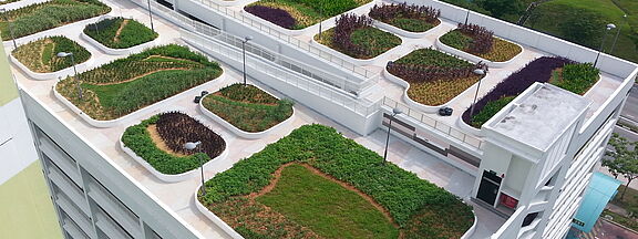 Green-roof system